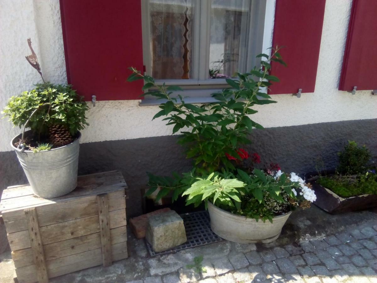 Villa Omas Schmuckkaestle Lauingen Esterno foto